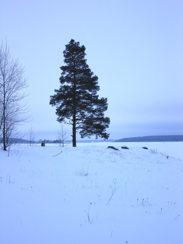 /photo/vanderer/3793822/xlarge/87839843.jpg