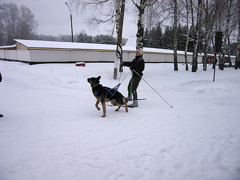 /photo/vanderer/3798248/xlarge/88055630.jpg