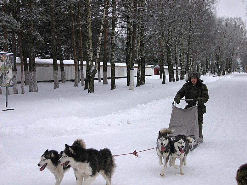 /photo/vanderer/3798248/xlarge/88055725.jpg