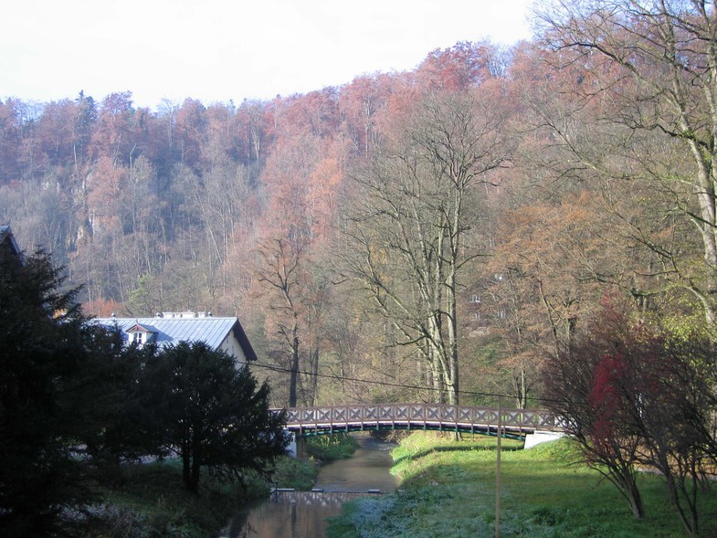 /photo/vanderer/3866829/xlarge/91528527.jpg