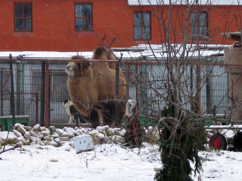 /photo/vanderer/3887760/xlarge/92720115.jpg